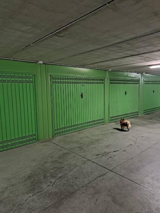 Centrale Vicino Spiagge E Ciclabile + Box-Auto ! Lejlighed Arma di Taggia Eksteriør billede